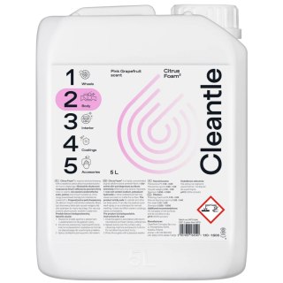 CLEANTLE Citrus Foam2 5L - Piana aktywna