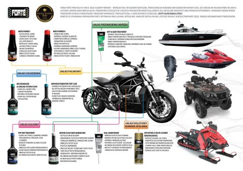 Forté Fuel & Emission Improver. Czyszczenie katalizatora, sondy lambda, filtra GPF i pierścieni uszczelniających w silnikach ben