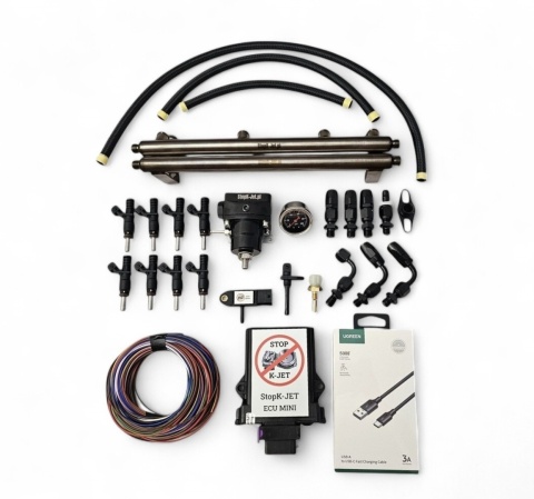 EFI injection Mercedes M116 M117 Do it yourself