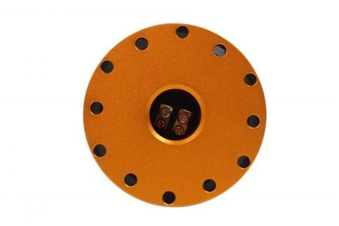 Naba Quick Release Epman Snap Gold Naba Quick Release Epman Snap Gold